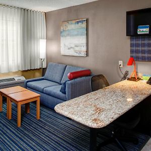 One-Bedroom Queen Suite Sofa Bed
